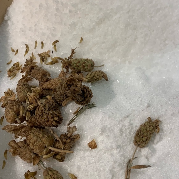 Lavender Dead Sea Salt and Epson Salt Soak with my Homegrown Lavender - Picture 14 of 15